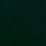 (4) Petrol
